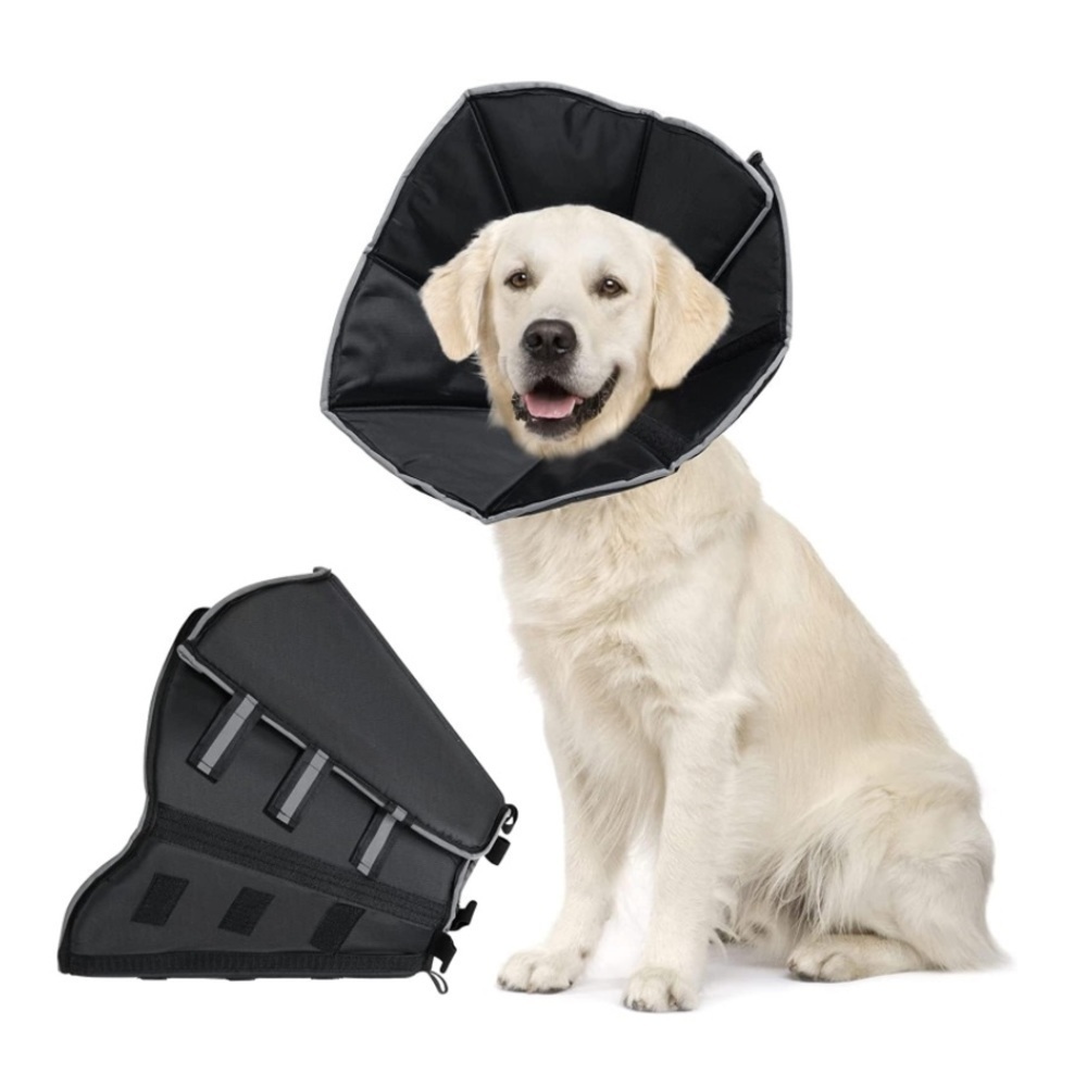 New Dog Cone Collar
